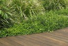 Alawoonahard-landscaping-surfaces-7.jpg; ?>