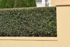Alawoonahard-landscaping-surfaces-8.jpg; ?>